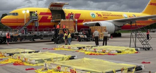 Nadzwyczajne globalne dostawy frachtu