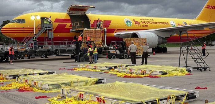 Nadzwyczajne globalne dostawy frachtu