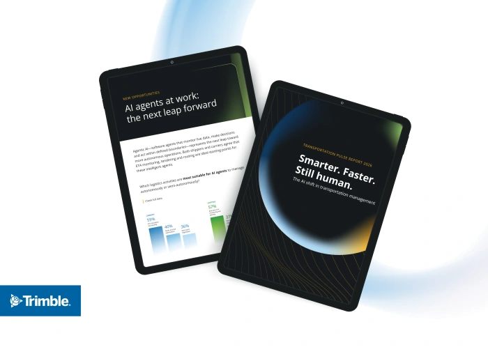 Raport o Pulsie Transportu: Punkt zwrotny