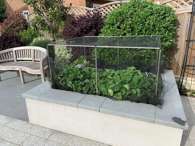 Sprzedawca detaliczny e-commerce zwiększa realizację zamówień