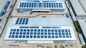 Firma przewozowa dąży do zmniejszenia kosztów energii elektrycznej o połowę dzięki energii słonecznej
