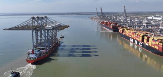 Rozbudowa portów DP World łączy automatyzację z elektryfikacją